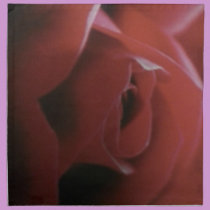 Red Rose design Napkins napkins