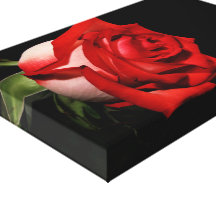 Red Rose Flower Wrapped Canvas Canvas Print
