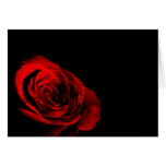 Red Rose Greeting Cards