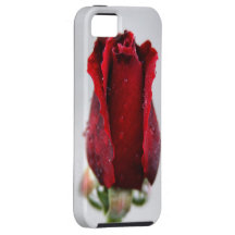 red rose iPhone 5 case