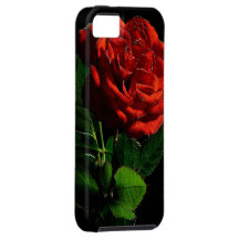 Red Rose iPhone 5 Covers