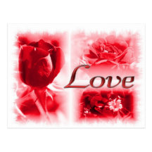 Red Rose Love Trio Post Card