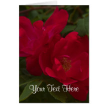 Red Rose Note Card