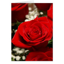 Red Rose Note Card