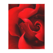 Red Rose - Roses Customised Template Canvas Print