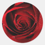 Red Rose Seals Round Stickers