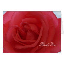 Red Rose Thank You Card