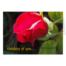 Red Rose - Thinking of You - CA GardensCard