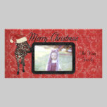Red Rose Zebra Merry Christmas Photo Card photo cards