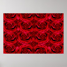 Red roses posters, prints, pictures, photos,