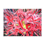 red spider lily flower gallery wrap canvas