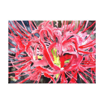 red spider lily flower gallery wrap canvas