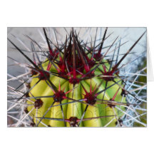 Red Spines Products Cards