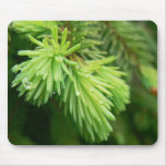 Red Spruce Sprouts Tree Mouse Pad