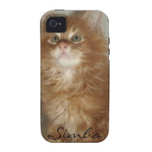 Red Tabby Maine Coon Kitten IPhone case iPhone 4 Cases