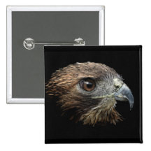 Red-tail Hawk pastel Pinback Buttons