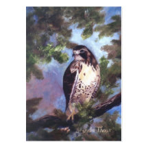 Red Tailed Hawk Art Card Business Card Templates