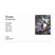 Red Tailed Hawk Business Cards