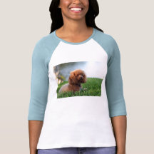 Red Toy Poodle Shirt