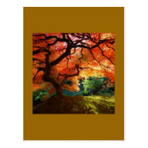 Red Tree HILL Post Card