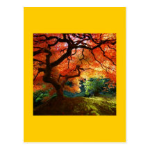 Red Tree HILL Post Card