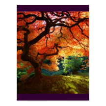Red Tree Post Cards