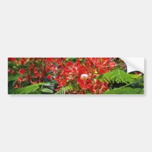 Red Tropical Flowers flowers Bumper Stickers