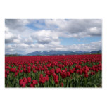 Red Tulip Field Business Card Templates
