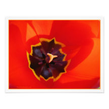 Red tulip glowing personalized invites