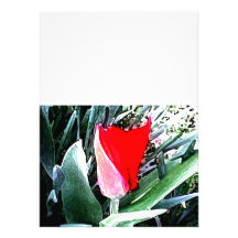 Red Tulip Invite