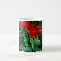 Red Tulips Mug