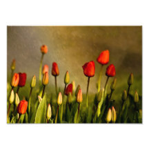 Red Tulips Under Spring Rain Art Photo