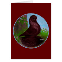 Red Tumbler Circle Cards