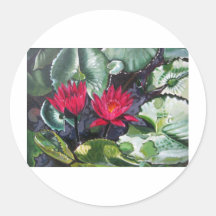 red waterlilies1 round sticker