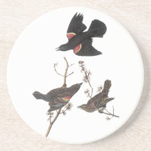 Red-Winged Blackbird, John Audubon Drink Coaster