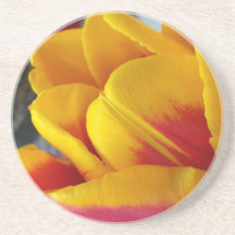 Red Yellow Tulip Coaster