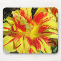 Red-Yellow Tulip Mouse Pads