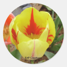 Red & Yellow tulip sticker