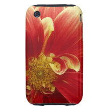 Red Zinnia 3G/GS iPhone Case iPhone 3 Tough Case