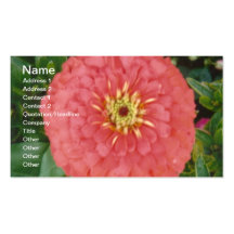 Red Zinnia Business Card Template