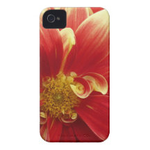 Red Zinnia iPhone 4/4S Case & Credit Card Holder