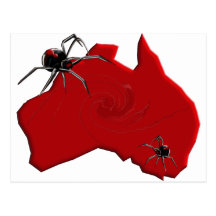 Redback Spider Australia Postcard