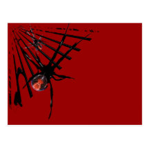 Redback Spider Post Card