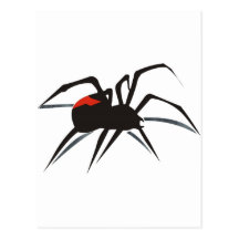 Redback Spider Post Cards