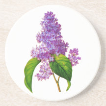 Redoute Lilacs Drink Coasters