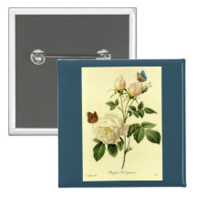 Redoute Print: 'Bengal Rose Hymanee' Pin