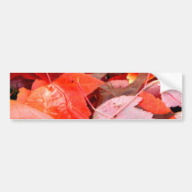 Reds Bumper Stickers