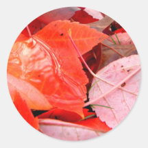 Reds Stickers