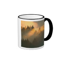 Redwood trees in coastal fog, Marin County, Coffee Mug