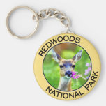 Redwoods National Park Key Chains